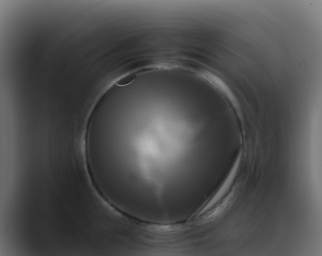 X0000089730855200706281548