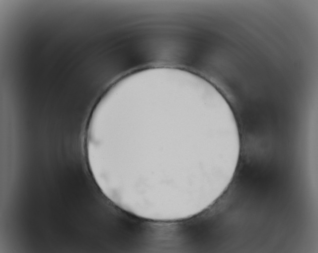 X0000089730856200706281548
