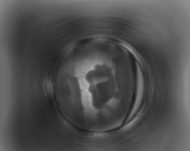 X0000089730857200706281548