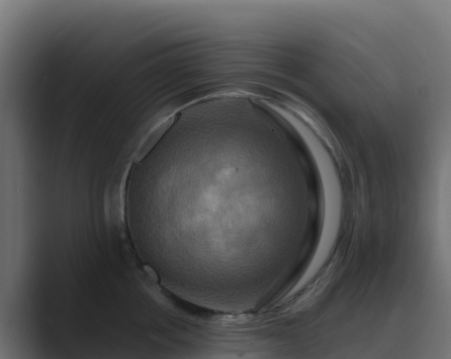 X0000089730858200706281548