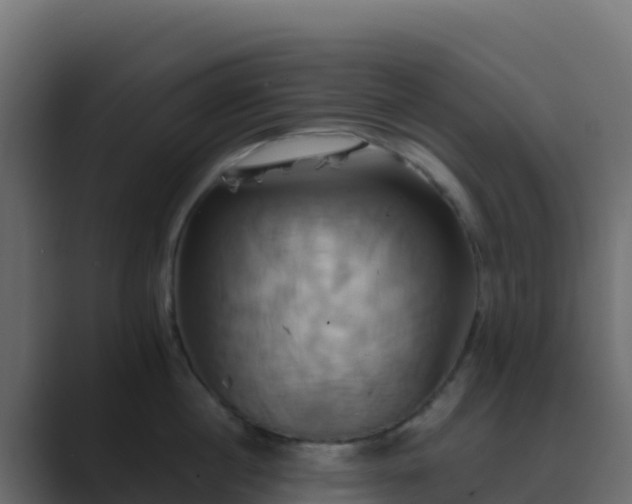 X0000089730860200706281548