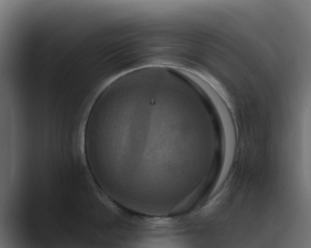 X0000089730862200706281548