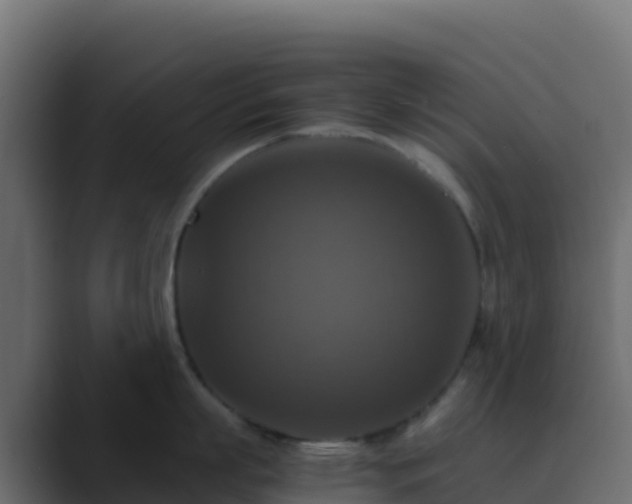 X0000089730863200706281548