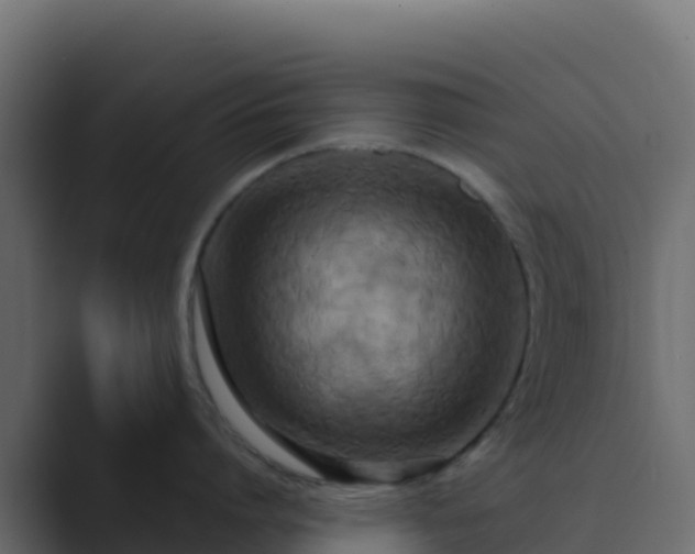 X0000089730864200706281548