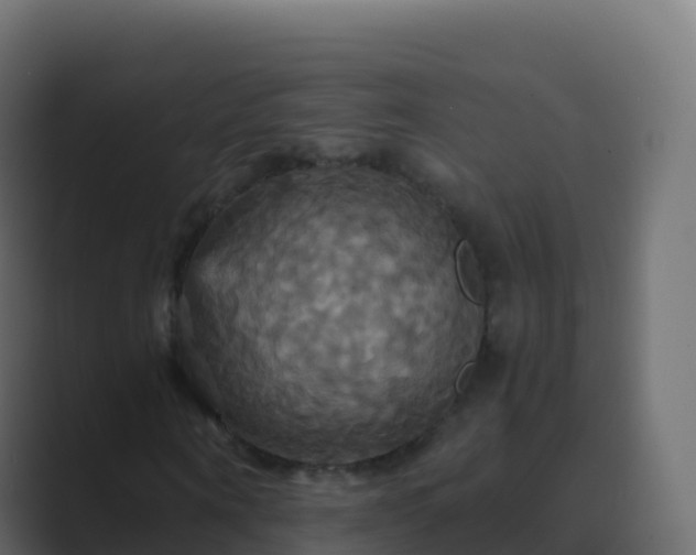 X0000089730866200706281547