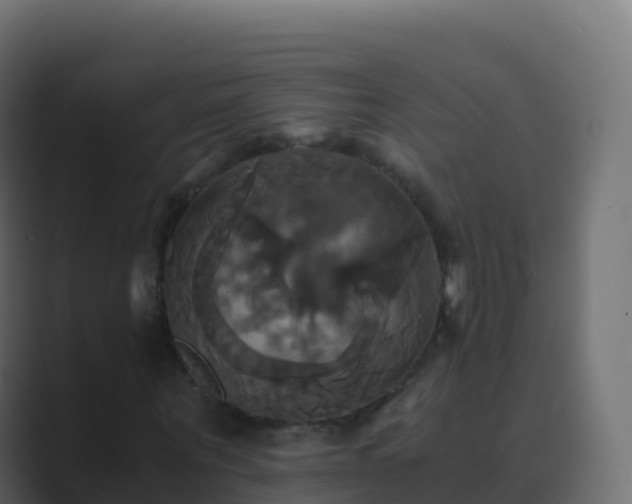 X0000089730867200706281547