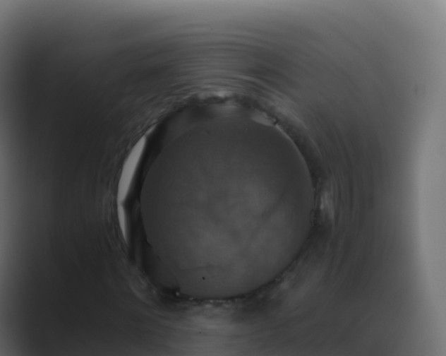 X0000089730868200706281547