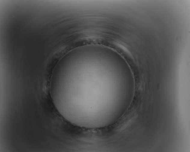 X0000089730869200706281547