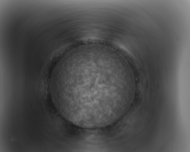 X0000089730870200706281547