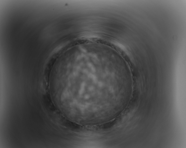 X0000089730871200706281547