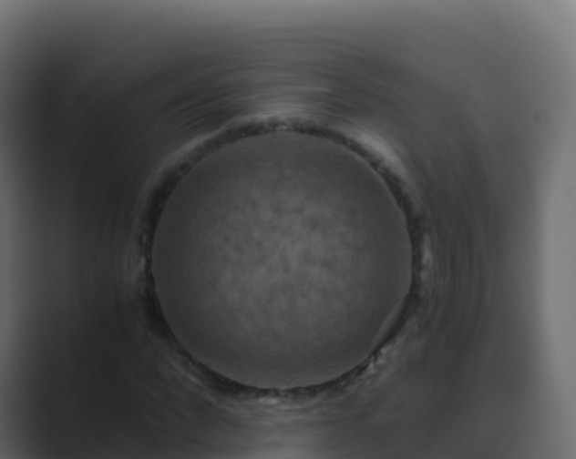 X0000089730872200706281547