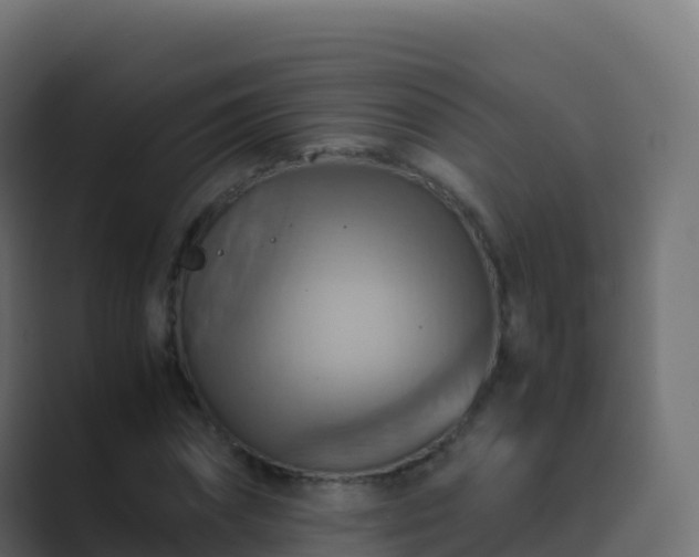 X0000089730874200706281547