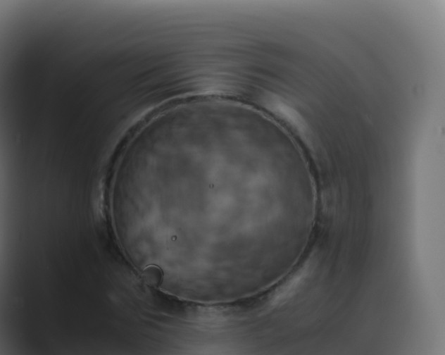 X0000089730875200706281547
