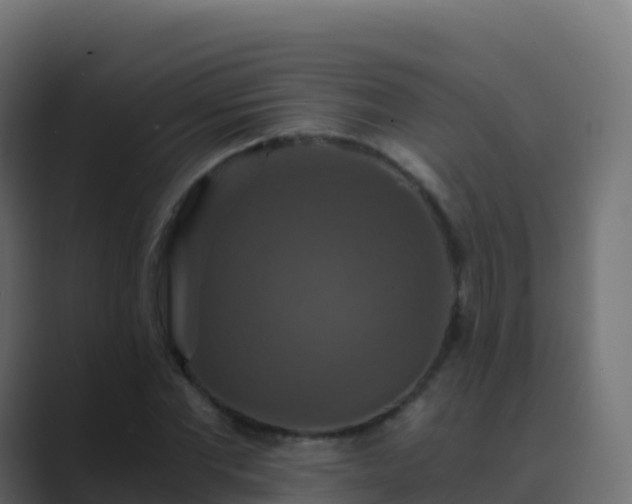 X0000089730877200706281547