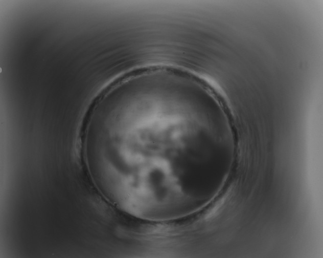 X0000089730879200706281547