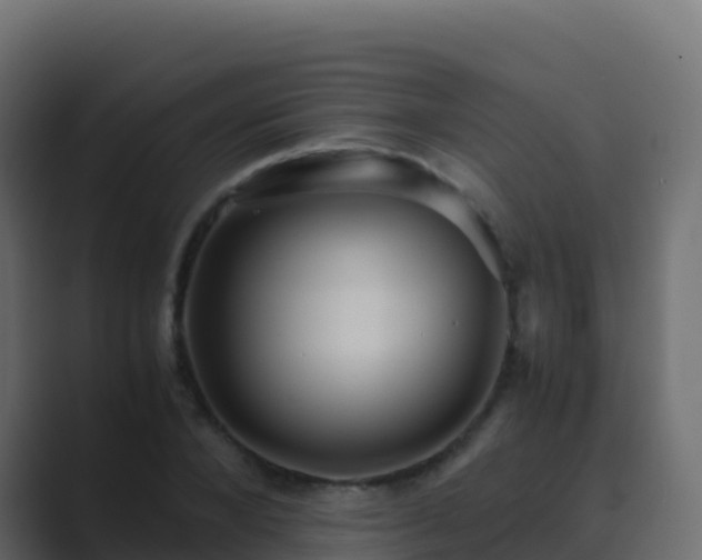 X0000089730880200706281547