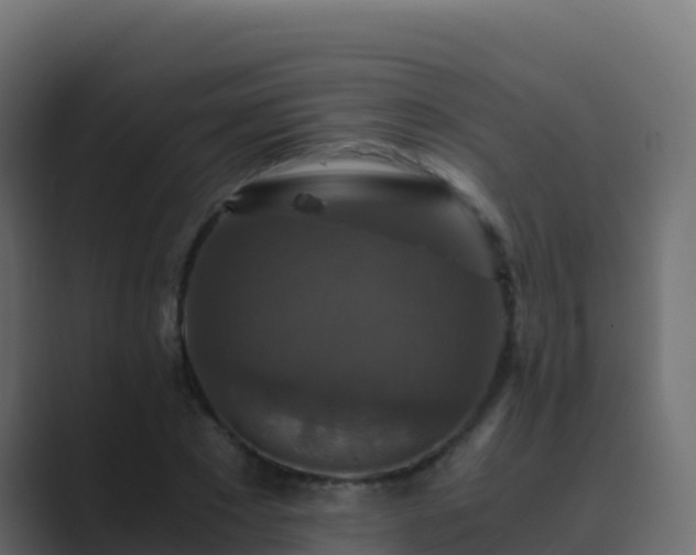 X0000089730881200706281547