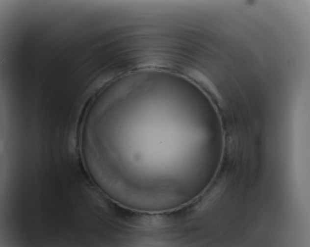 X0000089730882200706281547