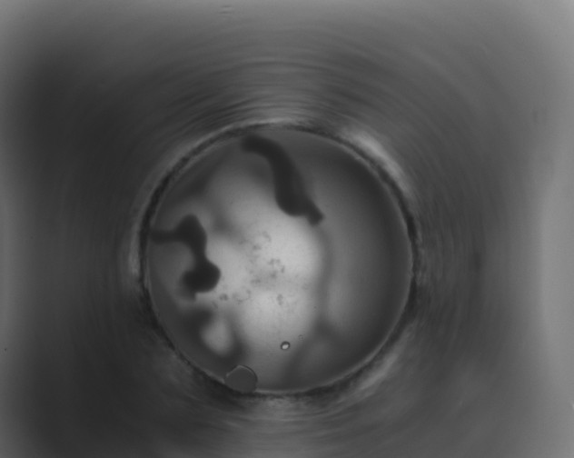X0000089730883200706281547