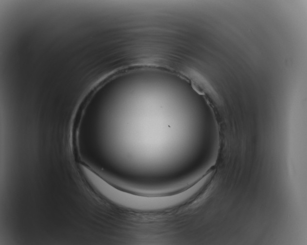 X0000089730884200706281547