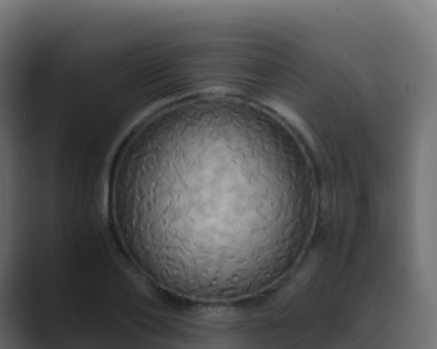 X0000089730886200706281547