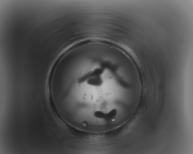 X0000089730887200706281547