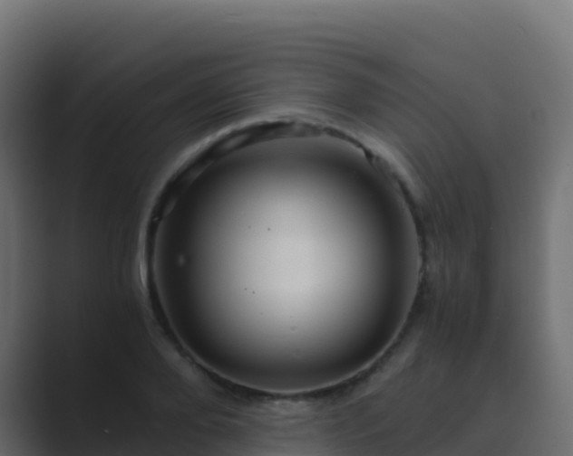 X0000089730888200706281547