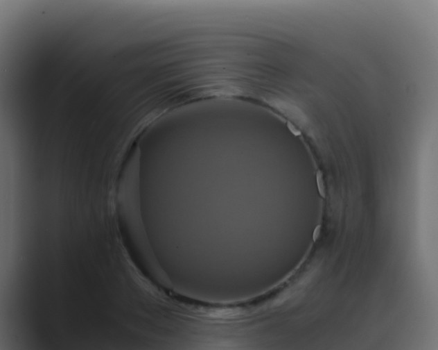 X0000089730889200706281547