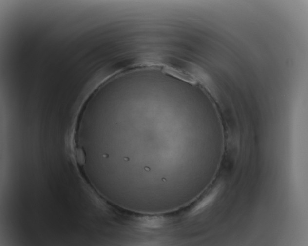 X0000089730893200706281547