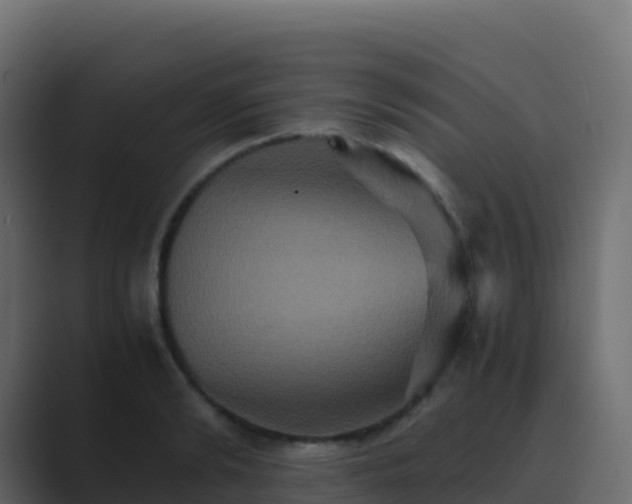 X0000089730894200706281547