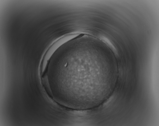 X0000089730900200706281547