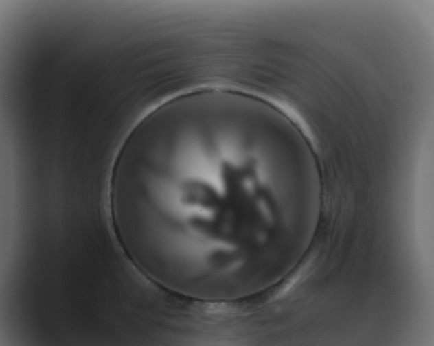 X0000089730903200706281547