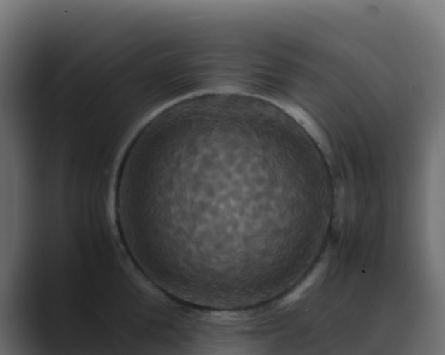X0000089730904200706281547