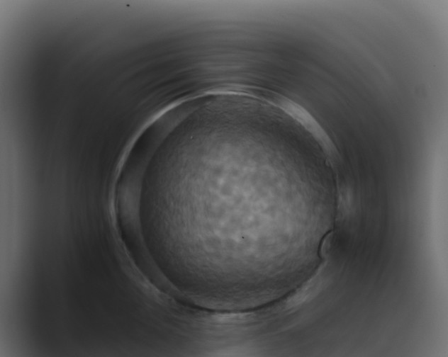 X0000089730908200706281547