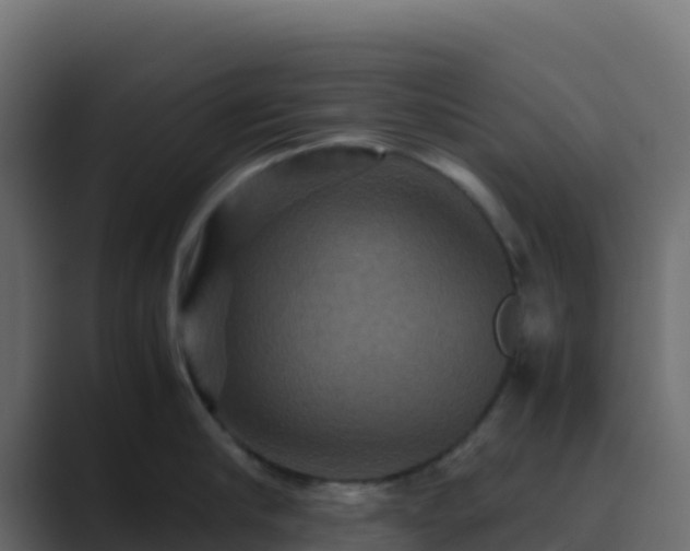 X0000089730910200706281547
