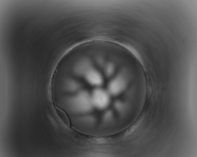 X0000089730911200706281547