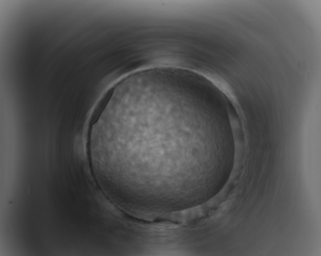 X0000089730912200706281547