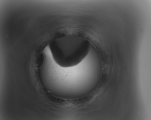 X0000089730913200706281546