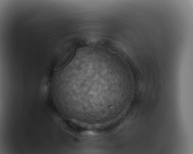 X0000089730914200706281546