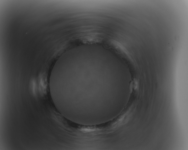 X0000089730915200706281546