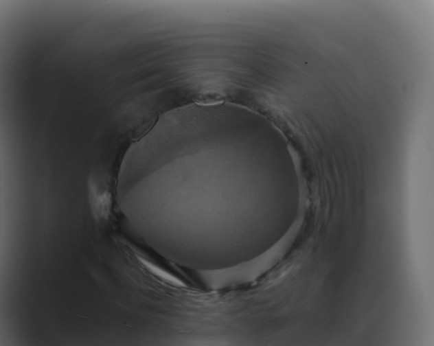 X0000089730916200706281546