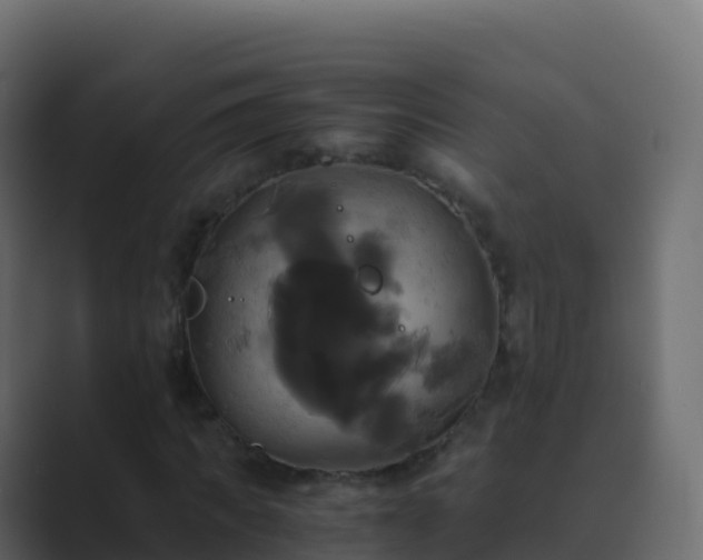 X0000089730917200706281546