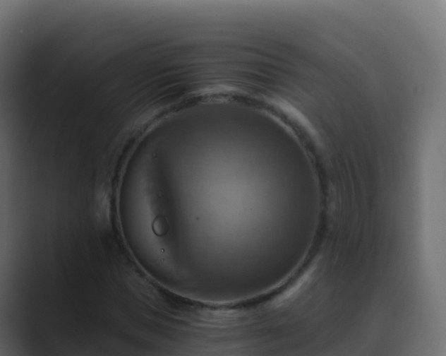 X0000089730921200706281546