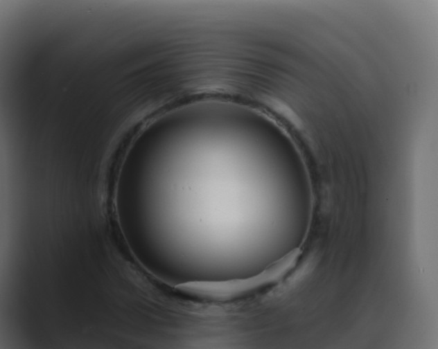 X0000089730922200706281546