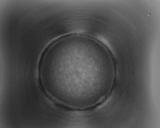 X0000089730924200706281546