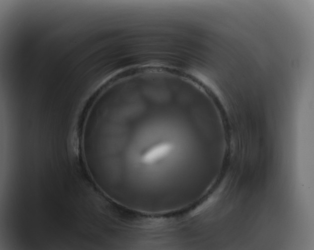 X0000089730925200706281546
