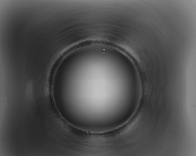X0000089730927200706281546