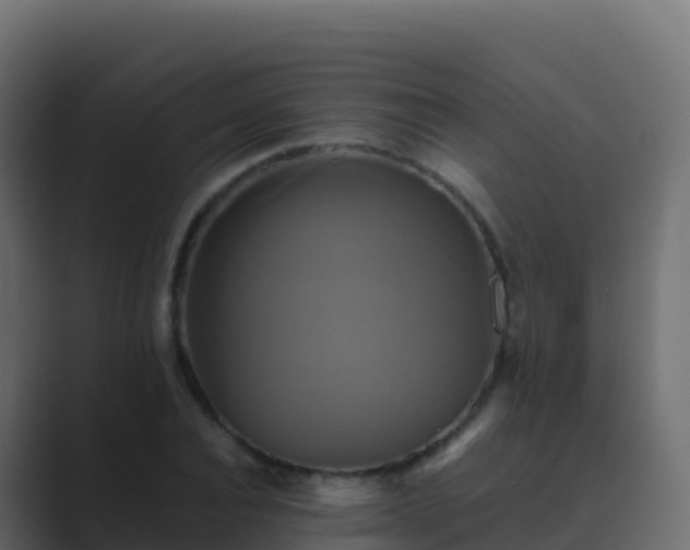 X0000089730928200706281546