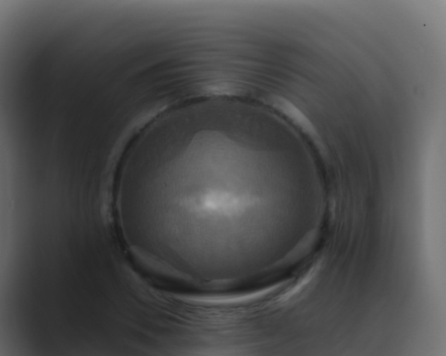 X0000089730930200706281546