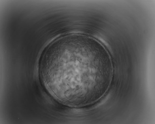 X0000089730933200706281546